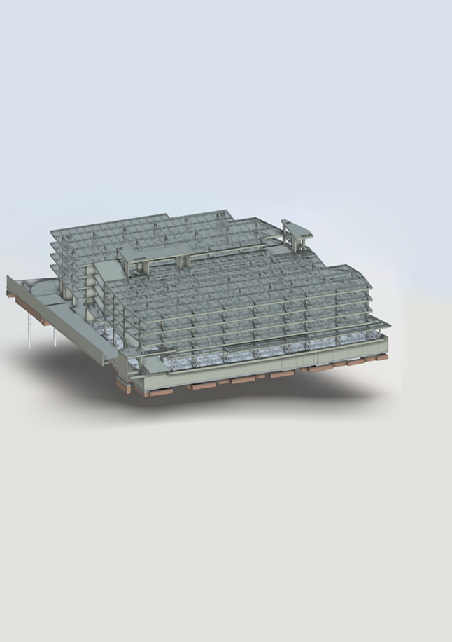 Proyecto Muelle del Rio